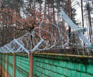 Tu trafiły psy uratowane ze schroniska w Sobolewie. Byliśmy na miejscu