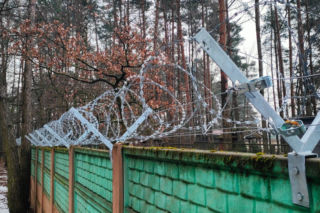 Tu trafiły psy uratowane ze schroniska w Sobolewie. Byliśmy na miejscu