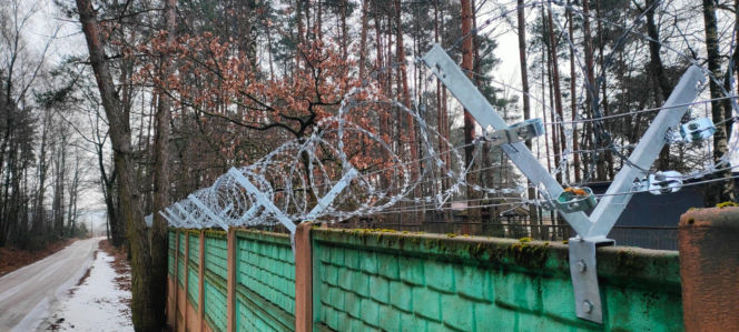 Tu trafiły psy uratowane ze schroniska w Sobolewie. Byliśmy na miejscu
