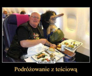 Memy na Dzień Teściowej 2025 [GALERIA]