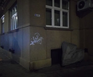 Wandal niszczył wszystko, co spotkał po drodze