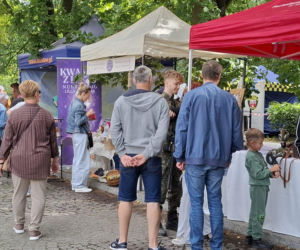 Najkrótsza uliczka w Kaliszu świętuje! Święto Ulicy Niecałej