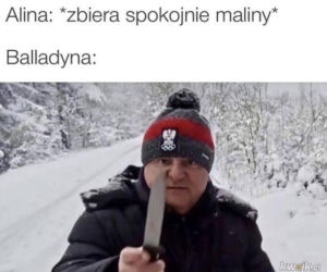 Oto najlepsze memy z Makłowiczem. Ubawicie się do łez!