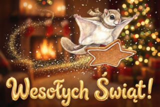 Życzenia świąteczne dla dzieci 2025 - krótkie, ciepłe i pełne magii