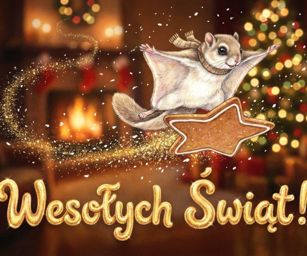 Świąteczny lot latającej wiewiórki