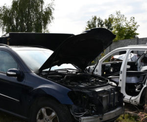 Rozbita dziupla samochodowa na terenie gminy Majdan Królewski