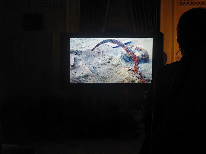 Wampirka z Pnia, czyli Zosia. Tak wyglądała