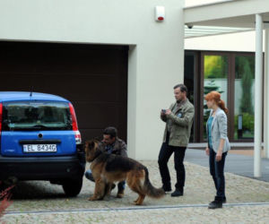 Komisarz Alex 4 sezon odcinek 41 (odc. 2). Puchała (Ireneusz Czop), Michał Orlicz (Antoni Pawlicki), Lucyna (Magdalena Walach)