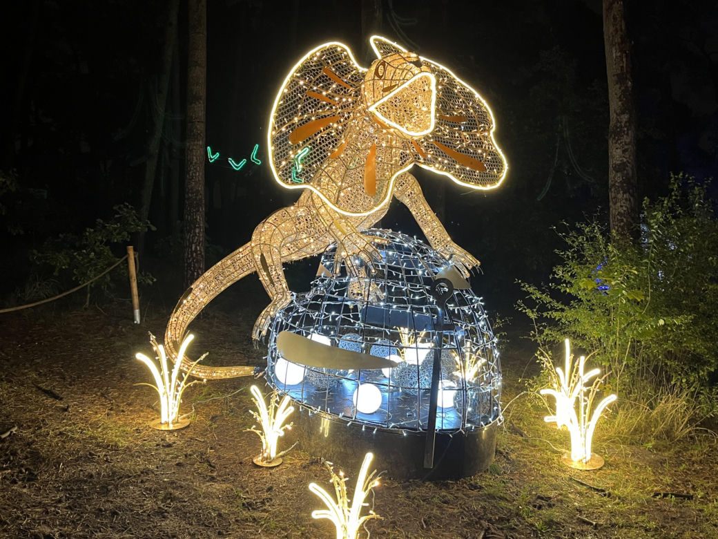 Lumina Park w Poznaniu. Multimedialny spacer w milionie świateł powraca w nowej odsłonie