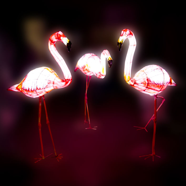 Podświetlone zwierzęta we wrocławskim zoo