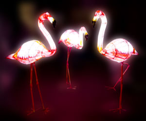 Podświetlone zwierzęta we wrocławskim zoo
