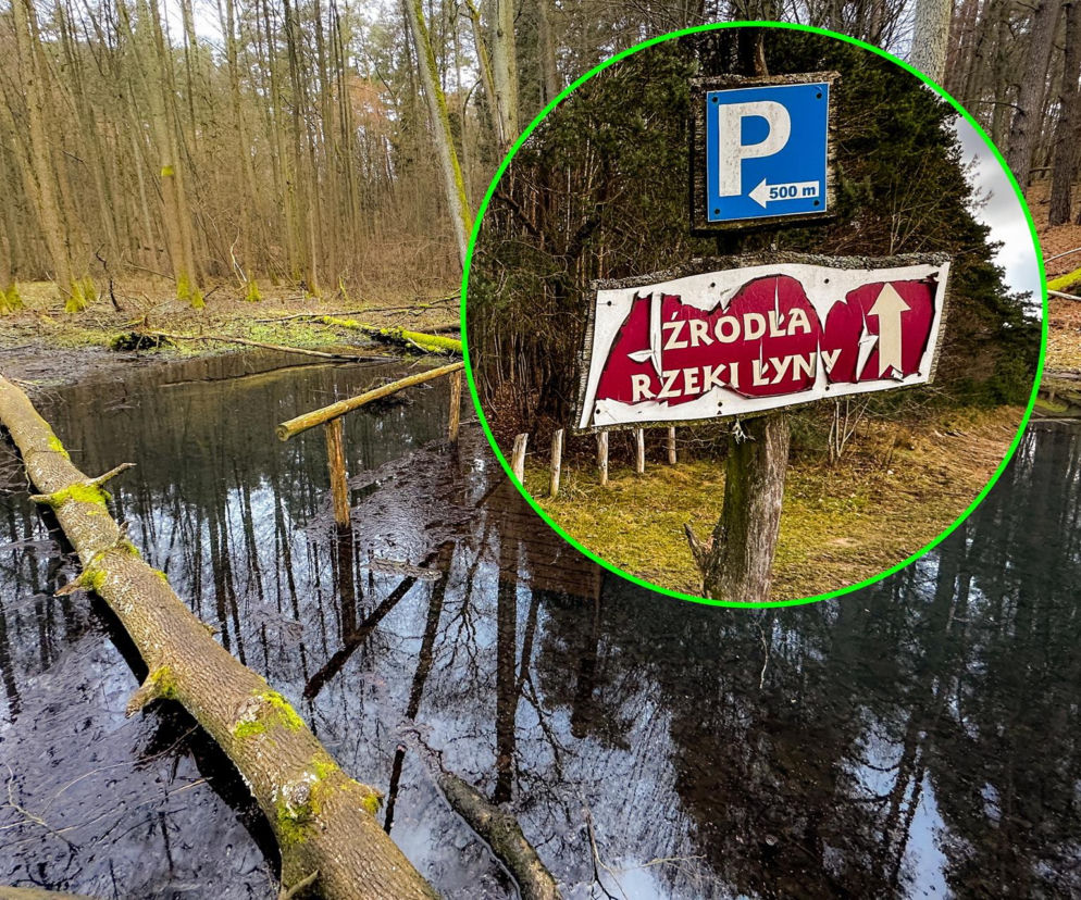 Dzika natura i raj dla kajakarzy. Królowa warmińskich rzek płynie aż w Rosji