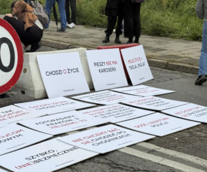 Cichy marsz w Krakowie po tragicznym wypadku. Zginęło młode małżeństwo