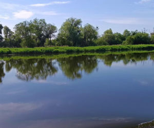 Tramwaj wodny Szczecin - Mescherin - Gartz