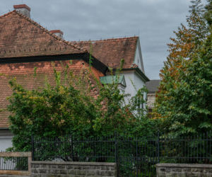 To jedno z najpiękniejszych miast w woj. małopolskim. Mikołaj Rej ukończył w nim swoje słynne dzieło
