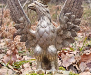 Niesamowite znalezisko w Nadleśnictwie Starachowice