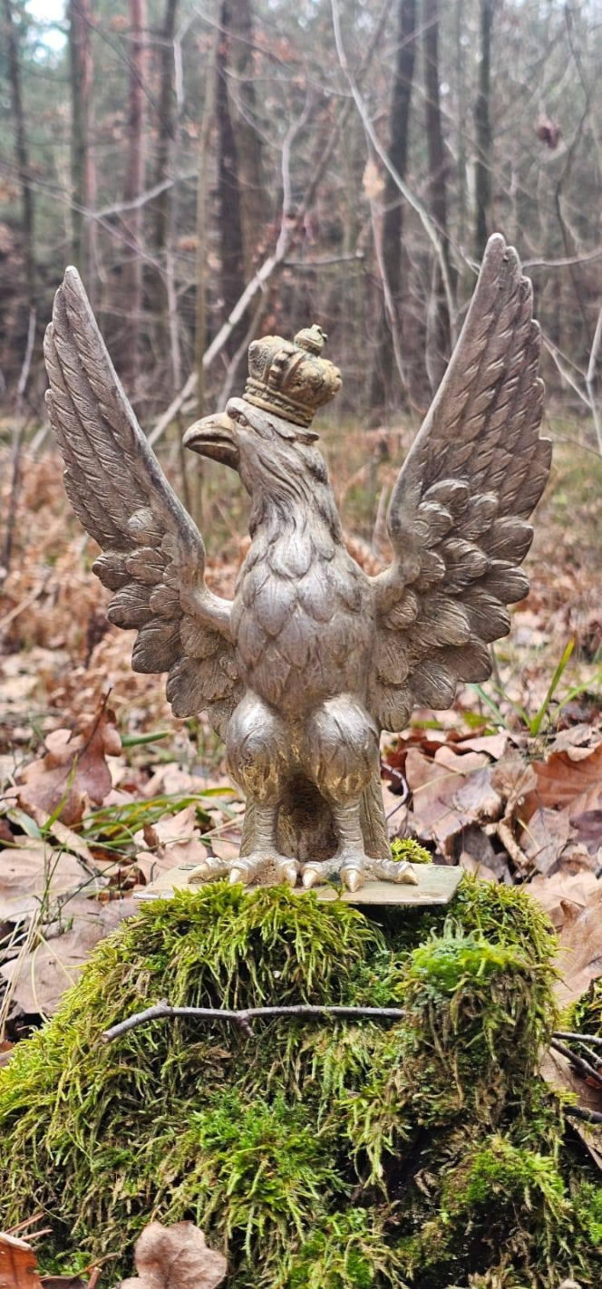 Niesamowite znalezisko w Nadleśnictwie Starachowice