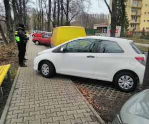 Tak się parkuje w Gliwicach. Straż Miejska opublikowała zdjęcia Miszczów z lutego [GALERIA]