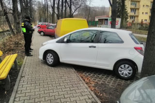 Tak się parkuje w Gliwicach. Straż Miejska opublikowała zdjęcia Miszczów z lutego [GALERIA]