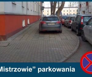 Warszawscy mistrzowie parkowania w listopadzie 2020