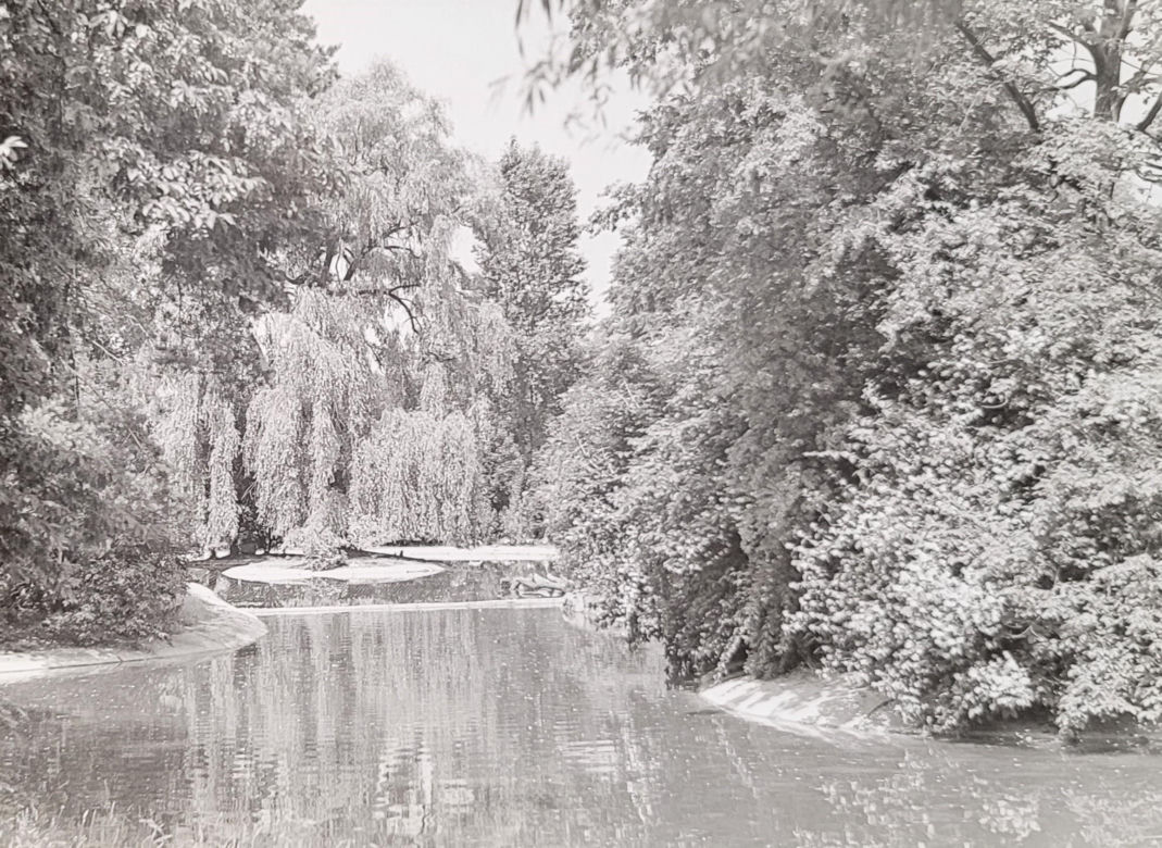 Łódzkie zoo w latach 70.