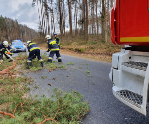 Szkody po Orkanie Eunice. Zrywało dachy, wyrywało grube drzewa, brakowało prądu