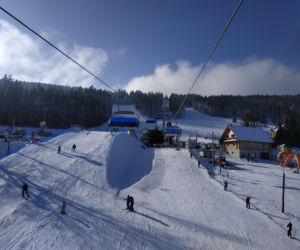 zieleniec