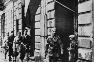 Potrafili podrobić każdy dokument