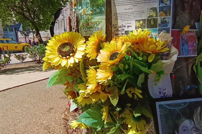 Drzewo pamięci Michaela Jacksona w Budapeszcie