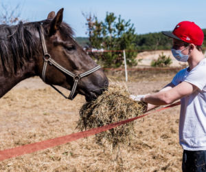 Koronawirus w Trójmieście. Zamieszkali razem ze zwierzętami w schronisku [ZDJĘCIA]