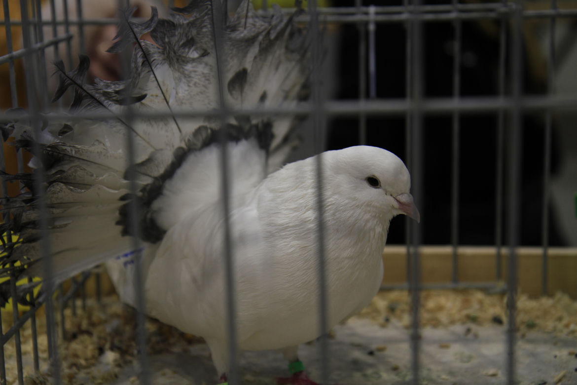 ZooPark 2023 w Lublinie przyciągnął tłumy!