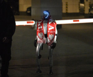 Robert Lewandowski w prywatnym wydaniu! Relaks przed meczem Szwecja - Polska