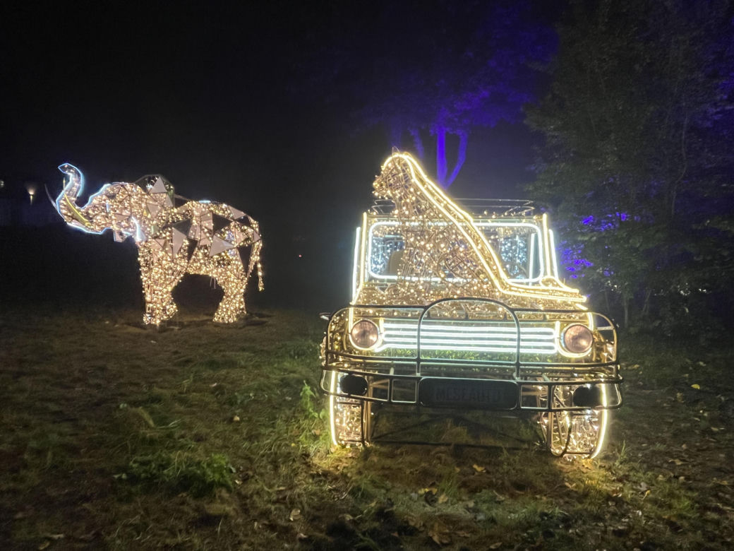 Lumina Park w Poznaniu. Multimedialny spacer w milionie świateł powraca w nowej odsłonie