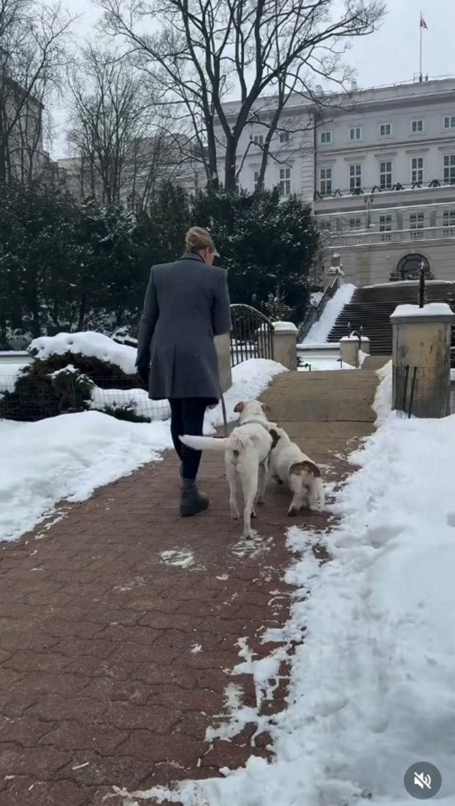 Pieski w Pałacu Prezydenckim