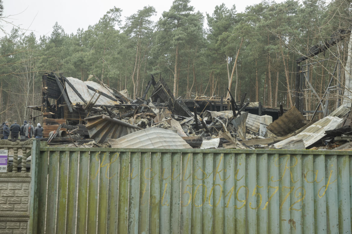  „Chwile przed tragedią miejsce tętniło życiem”. Ogromny pożar stadniny na Białołęce. Spłonęło 8 koni