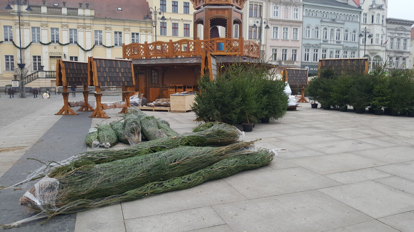 Ozdoby świąteczne w Bydgoszczy