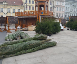 Ozdoby świąteczne w Bydgoszczy