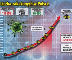 Koronawirus w Polsce. Rozwój pandemii w Polsce