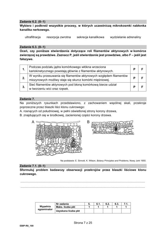 Matura 2021: Biologia. Arkusze CKE z biologii znajdziesz tutaj [Matura 12.05.2021]