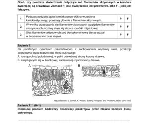 Matura 2021: Biologia. Arkusze CKE z biologii znajdziesz tutaj [Matura 12.05.2021]