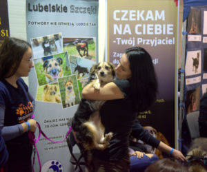 ZOOPARK 2019 w Lublinie. Wystawa pełna niezwykłości. Zobacz zdjęcia!