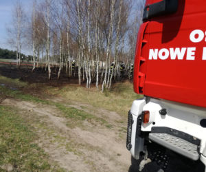 Seria pożarów w lasach pod Płońskiem! Straż pożarna: To były podpalenia! [ZDJĘCIA]