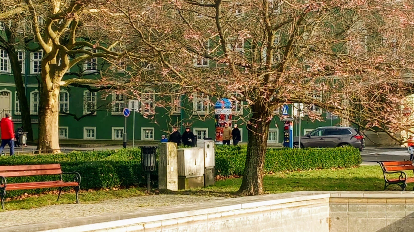 Uderzenie wiosny w Szczecinie. Nie tylko krokusy budzą się do zycia