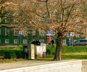 Uderzenie wiosny w Szczecinie. Nie tylko krokusy budzą się do zycia