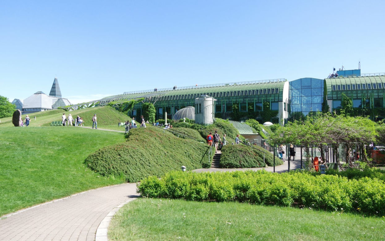 Ogrody BUW przy Dobrej. Noc Muzeów 2021