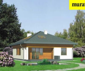 Murator projekt D33 Nieduży - ogród