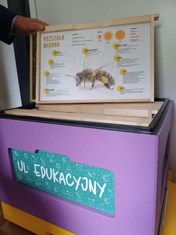 Pasieka Edukacyjna Ostrzeszów