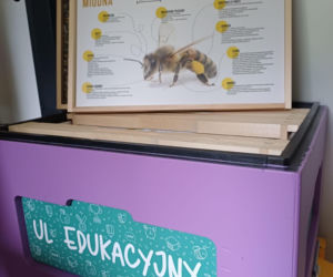 Pasieka Edukacyjna Ostrzeszów