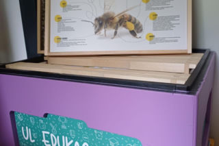 Pasieka Edukacyjna Ostrzeszów