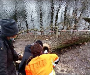 Dramatyczna akcja ratunkowa na Bemowie. Maleństwa były uwięzione w powalonym drzewie
